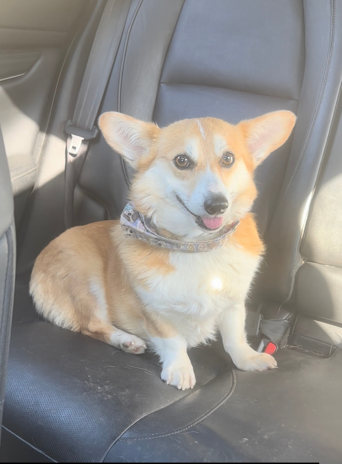 Made To Order Delilah Legging