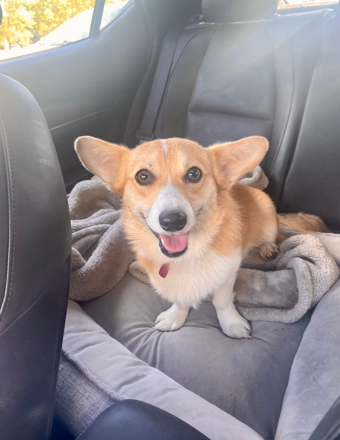 Made To Order Delilah Legging