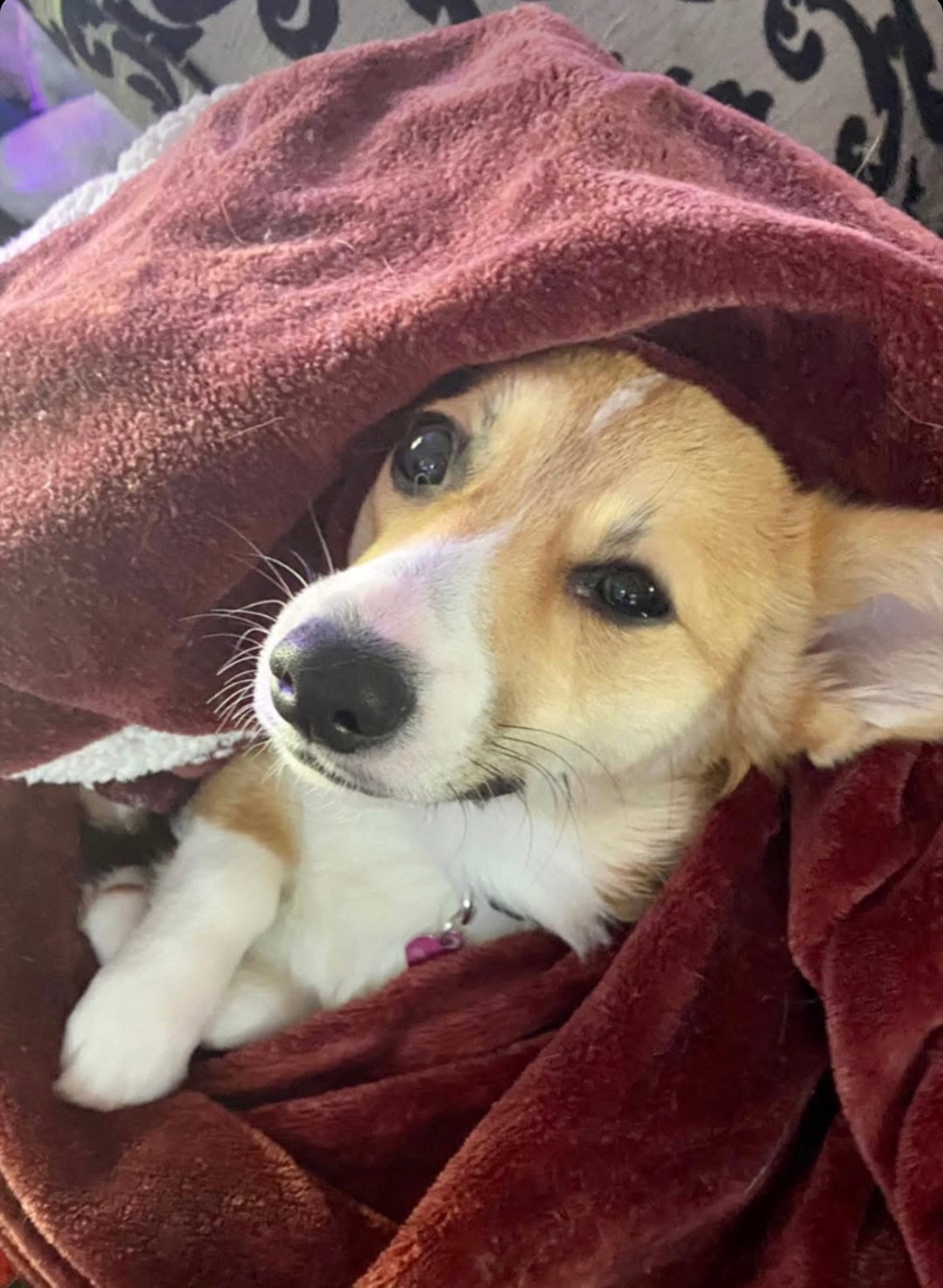 Made To Order Delilah Legging